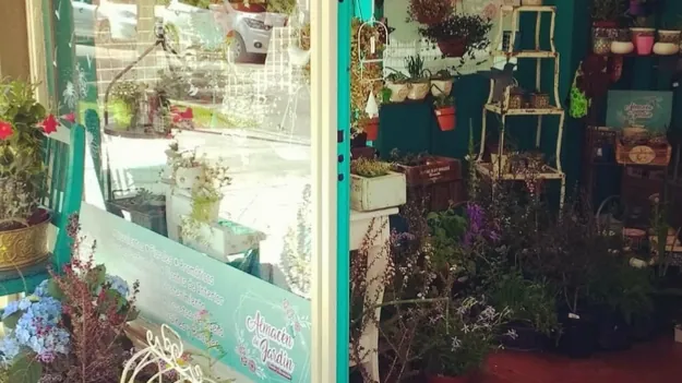 Almacén de Jardín Vivero Premium