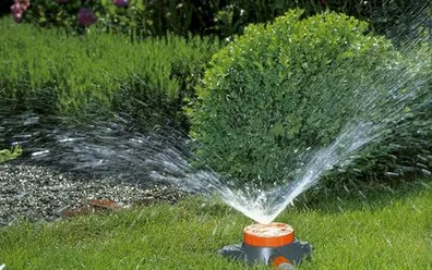 Aquaflex