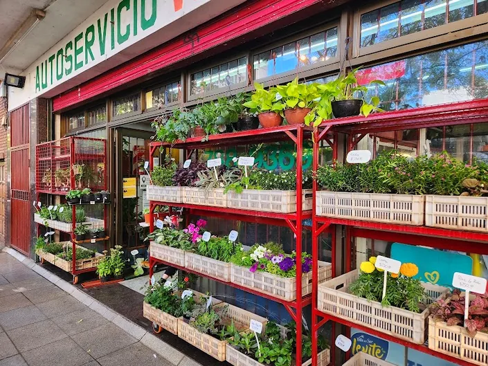 Autoservicio Victoria – Plantique