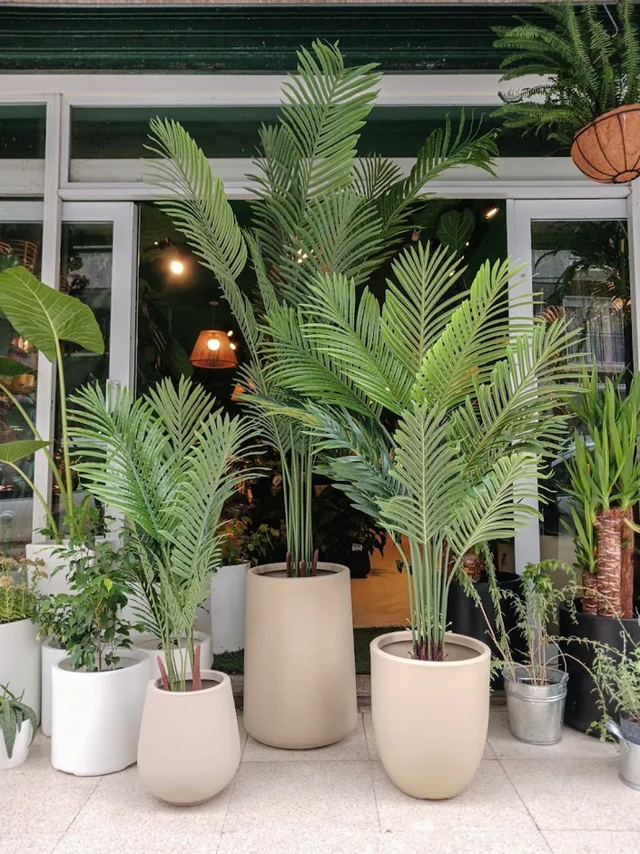 Berdea Vivero