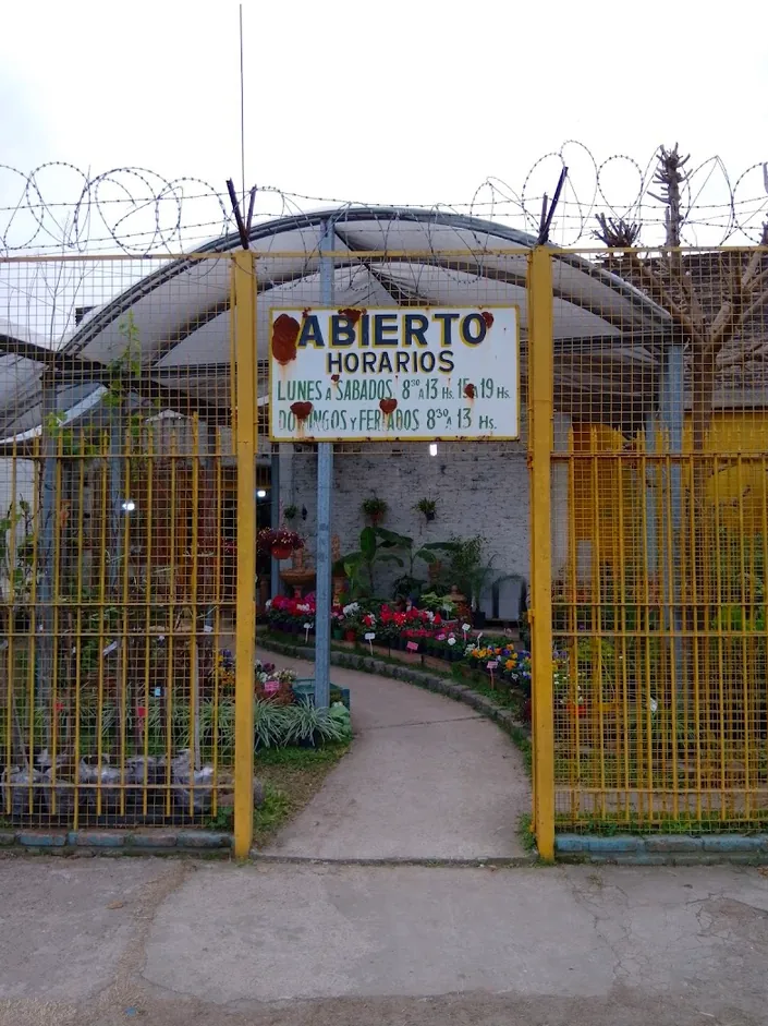 El Abra Vivero