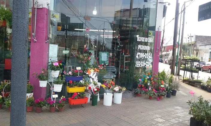 El Jardín de Aurora