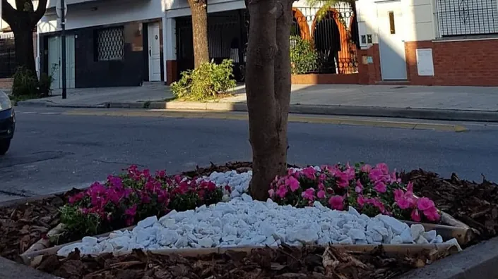 El jardín de Mandrágora