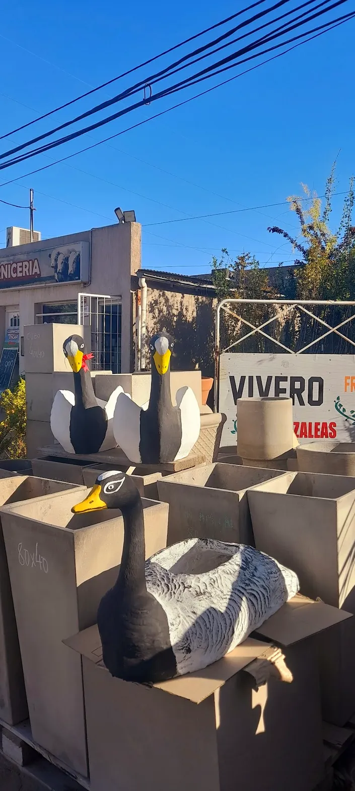 El Rincón de las Macetas