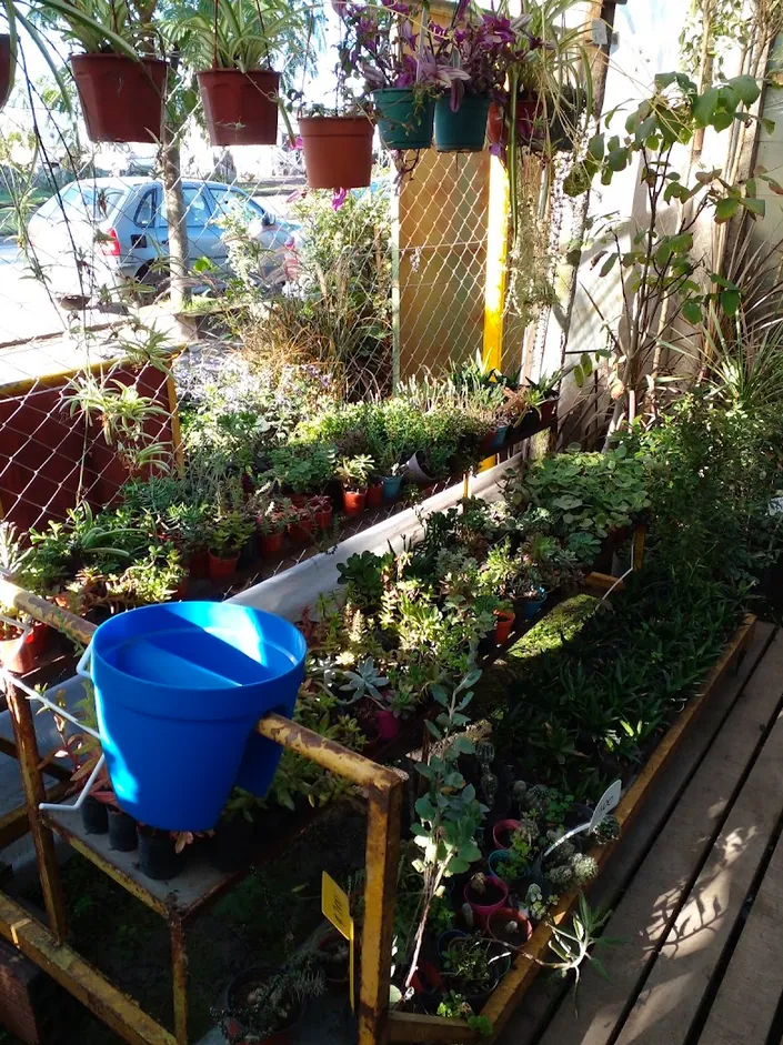 El vivero de paso