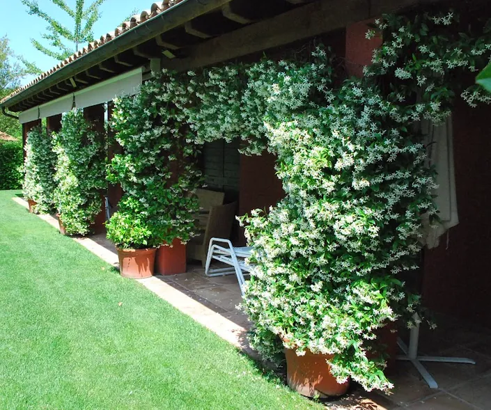 Estudio de paisajismo