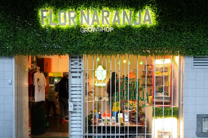 Flor Naranja Vivero