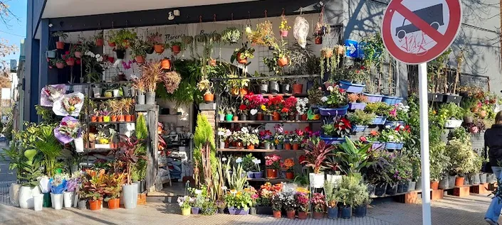 Florería Brues