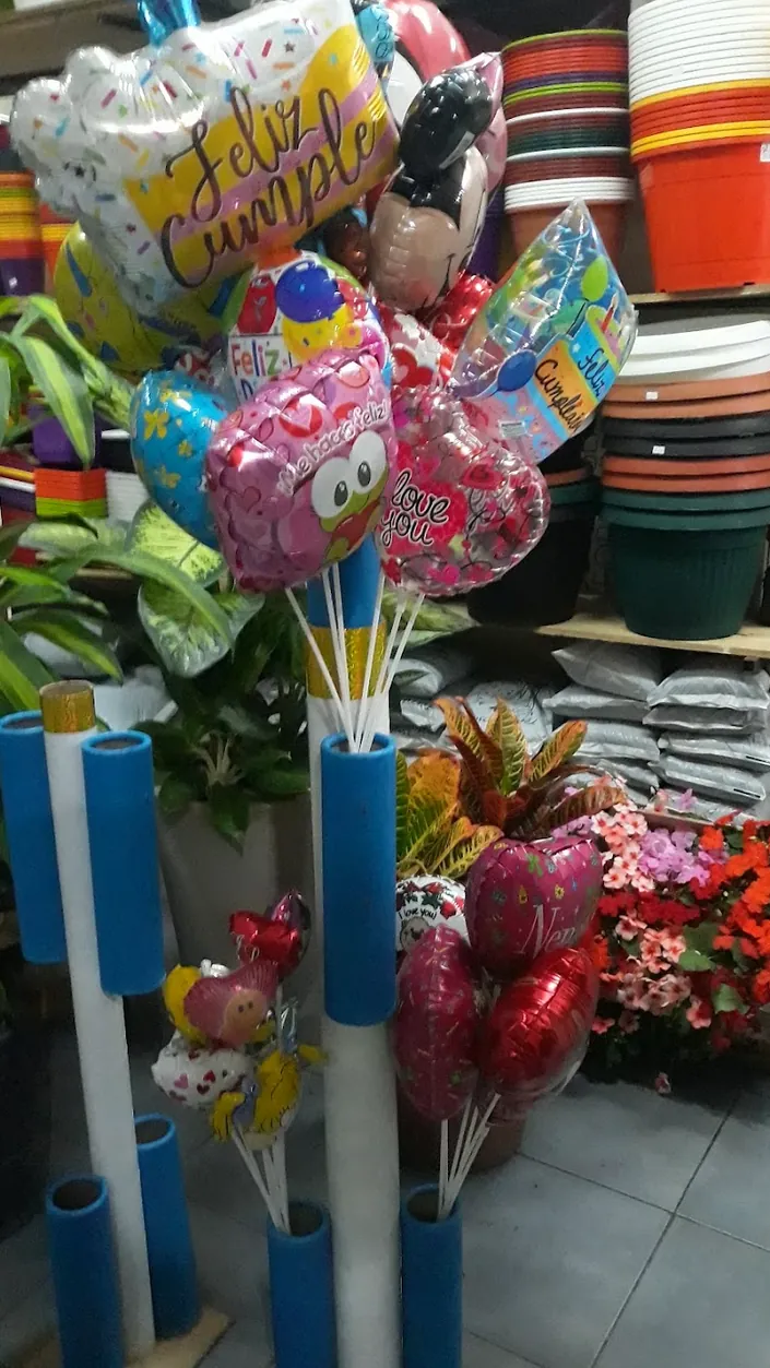 Florería Jimmy – Vivero