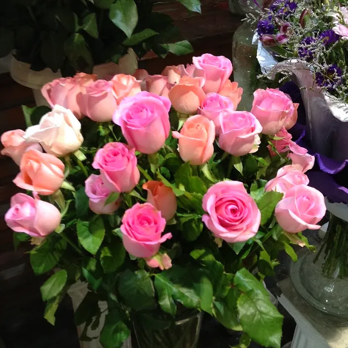 FRESIAS