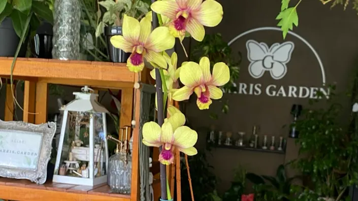 Garris Garden