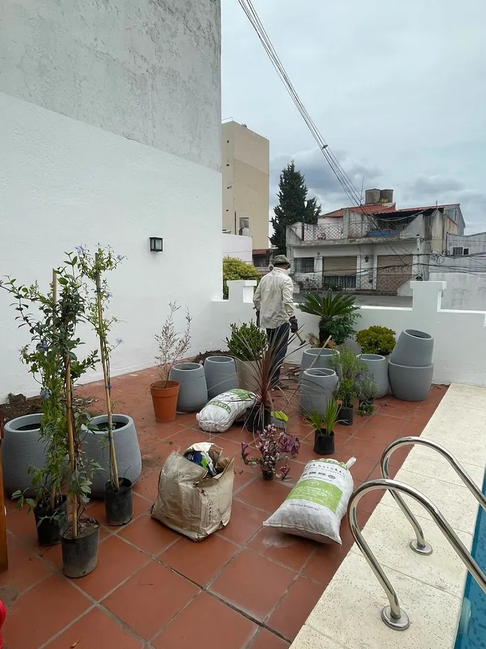 Gaura paisajismo