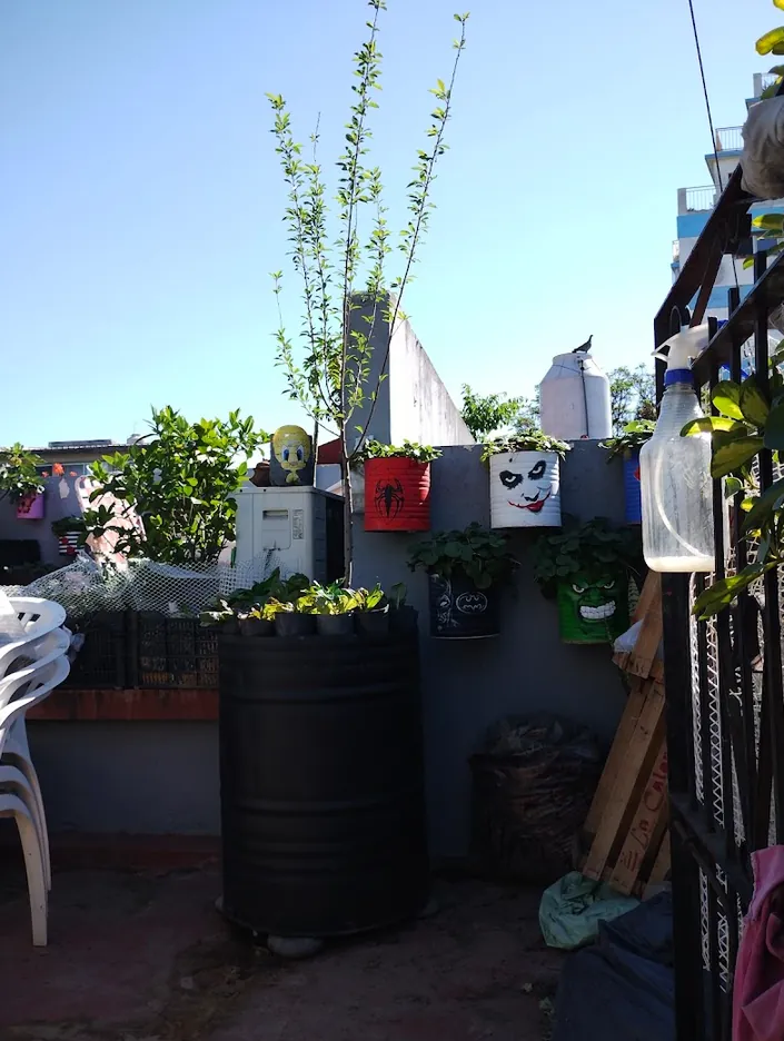 GEO PACA Tu vivero online! BOEDO arboles frutales, mesas de cultivo y mucho mas