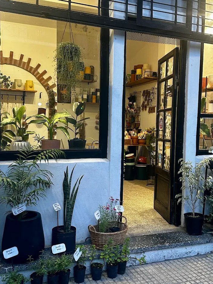 Hasta la Raiz Vivero