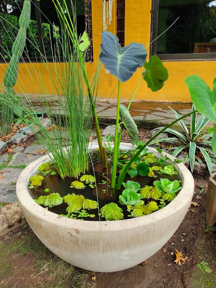 Jardines acuáticos El Cazador