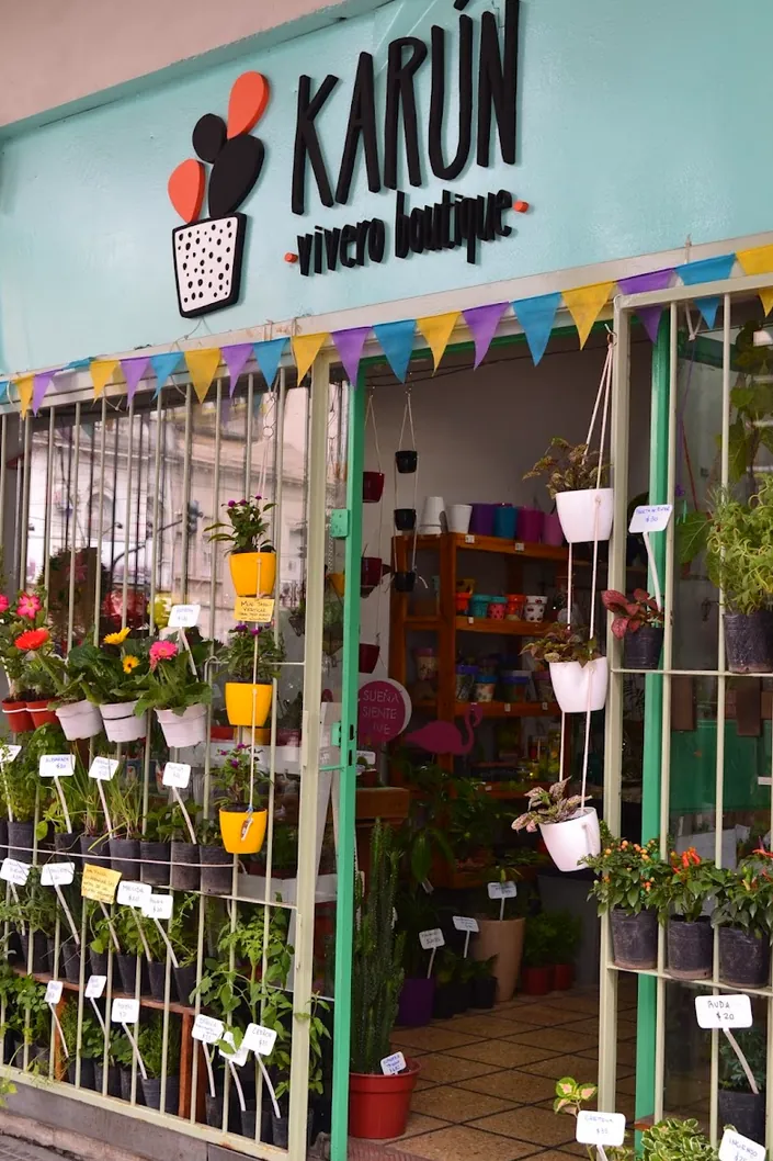 Karun vivero boutique