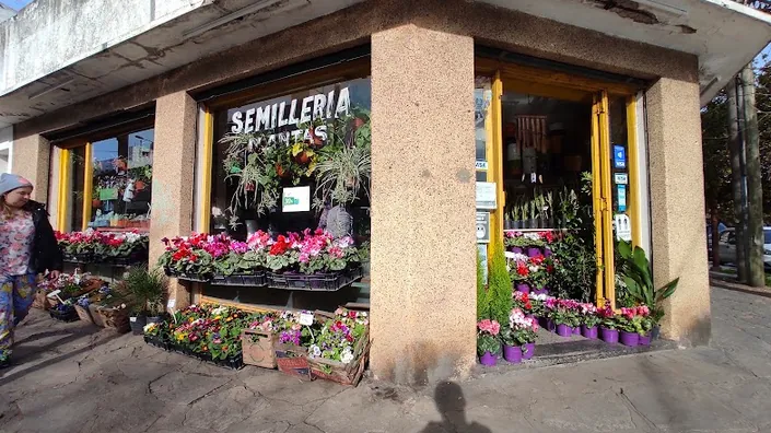 La Ardillita plantas y macetas