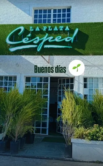 La Plata Césped