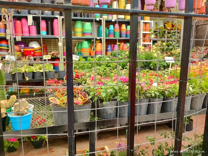 Las flores de la Chico vivero
