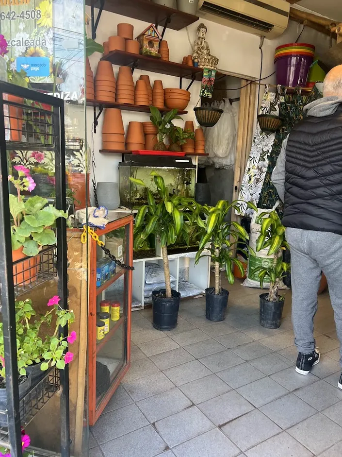 Los Jazmines, jardinería y apicultura