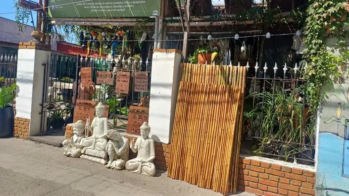 Macetas Alto Verde