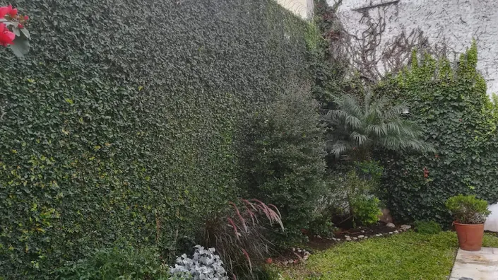 Madreselva Jardines y Paisajes