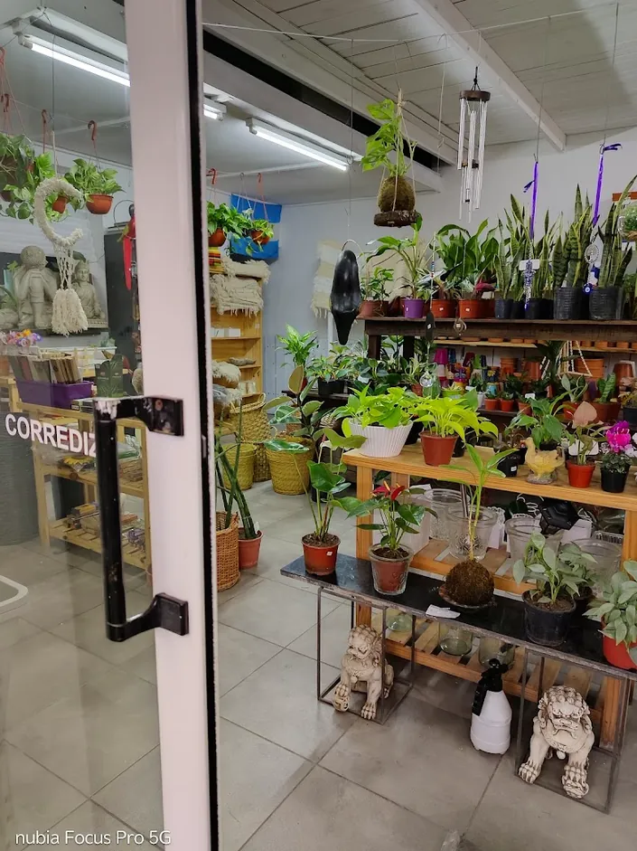 MadreSelva Vivero
