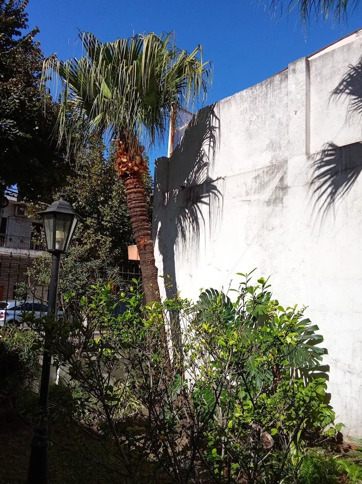 Malasia Garden jardinería y poda en altura