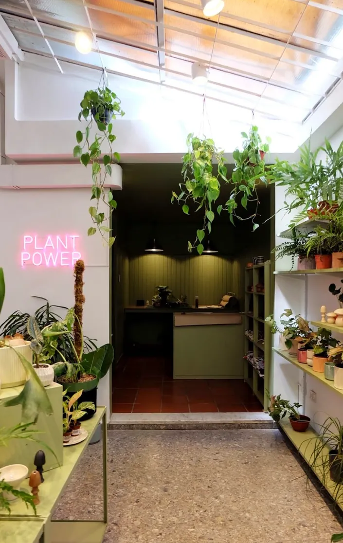 Plan Planta
