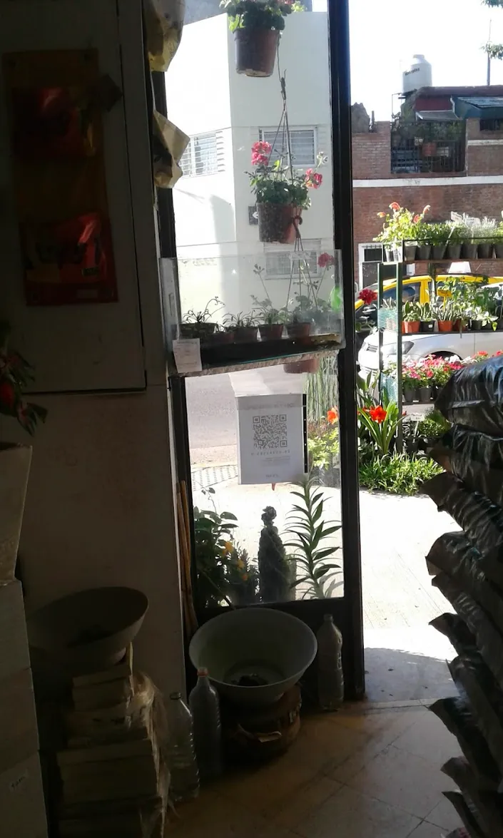 PLANTAS AGUAS VERDES