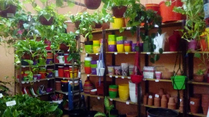 Plantas y Flores Doña María