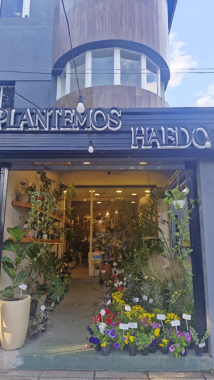 Plantemos Haedo