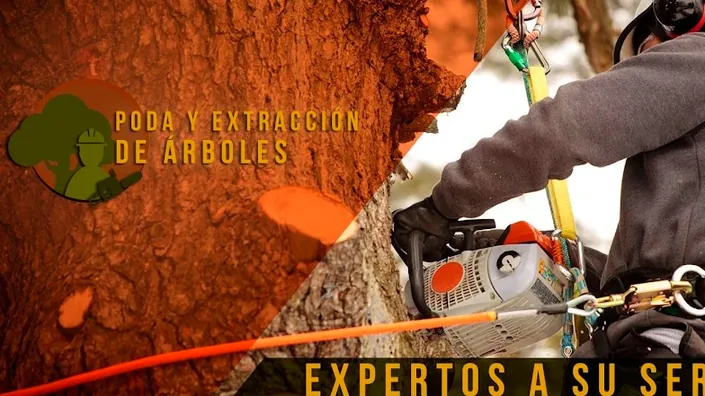 Poda y Extraccion de Arboles