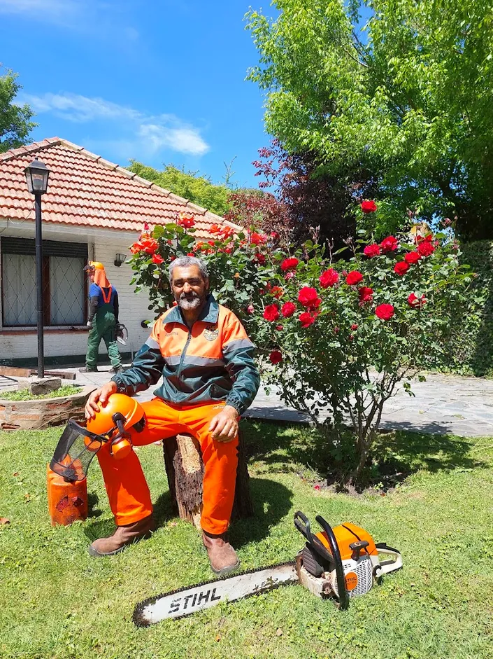 Podador Mar del Plata – DOC ÁRBOL (Poda y Extracción de Árboles)