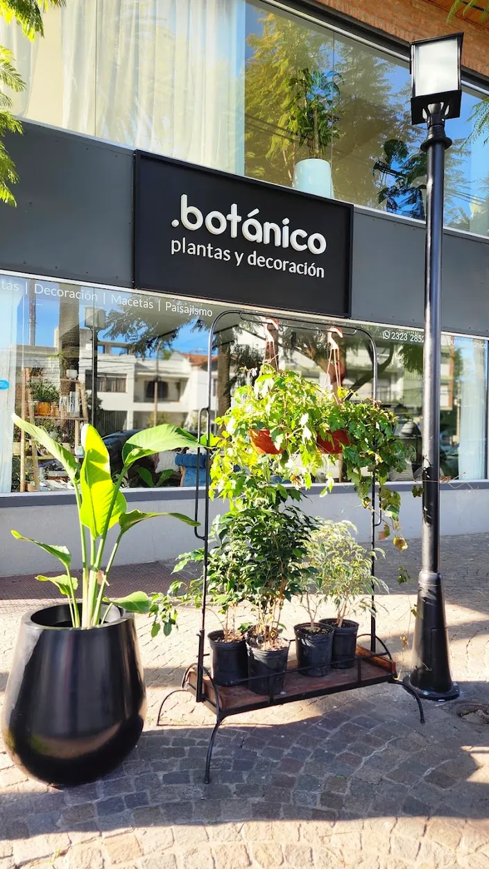 Punto botánico