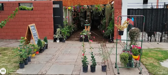 Raíces Vivero Morón ( sucursal Morón sur)