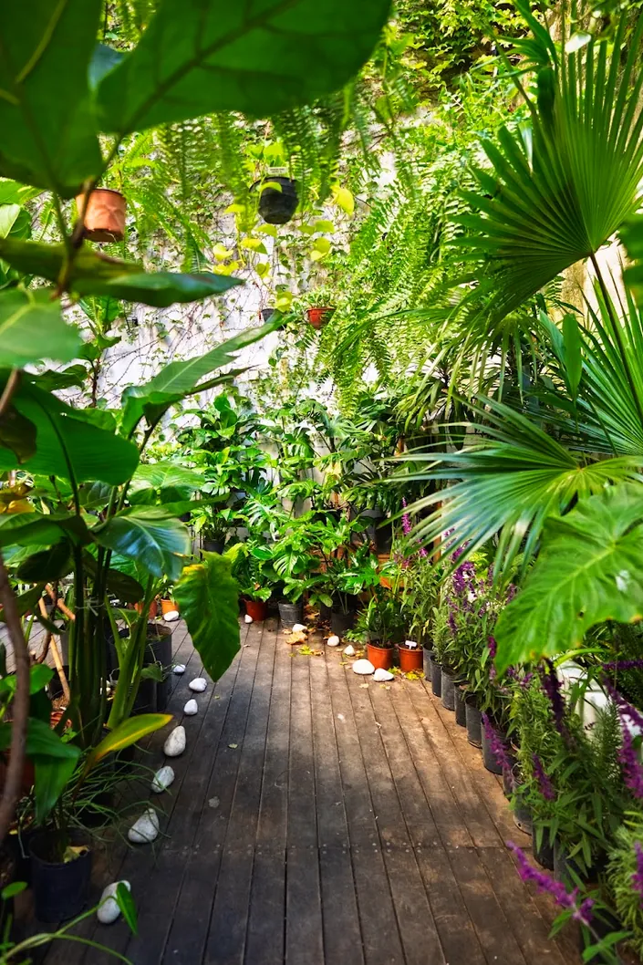 Selva Negra Casa de Plantas