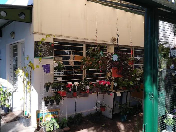 Sol de Campo