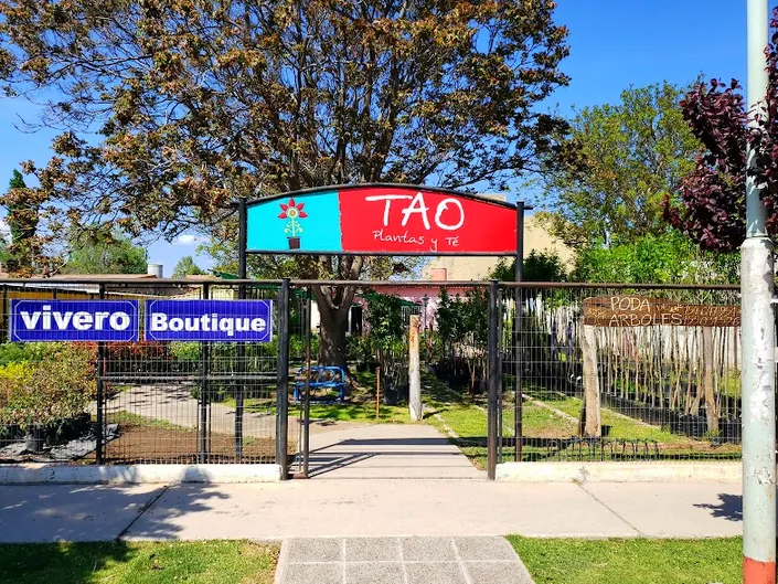 Tao vivero centro