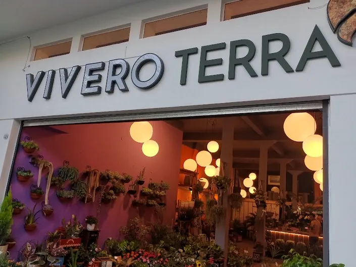 Terra Vivero