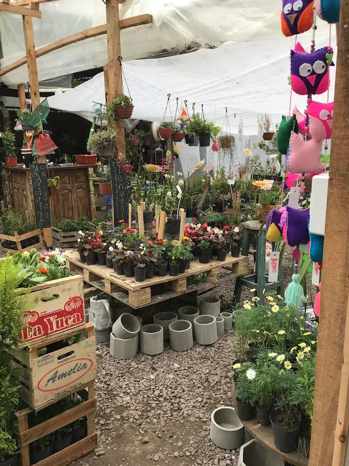 Tienda de plantas cosas Lindas Para el Jardín