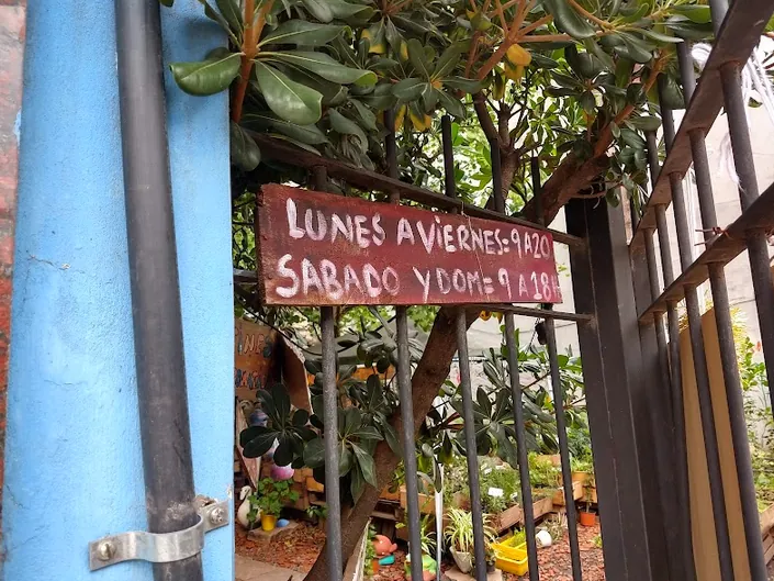 Tienda de Plantas Lazos de Amor