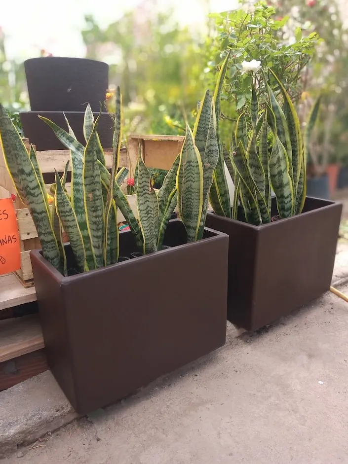 Tienda de Vivero, Jardineria y Florería Almendro