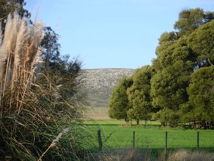 Verde Estar Sustratos