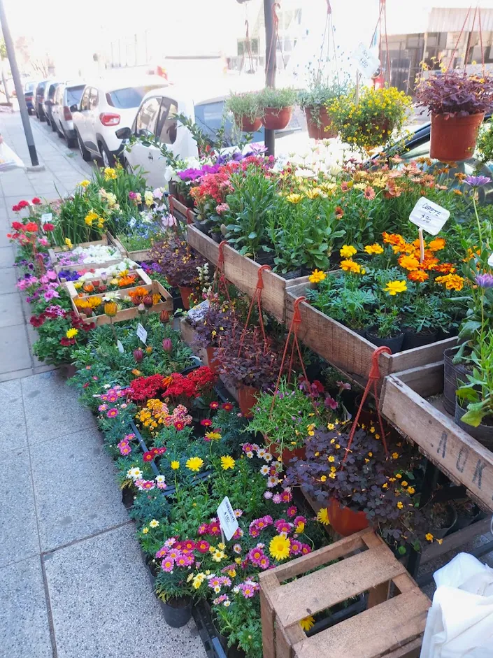 VERDE JARDÍN