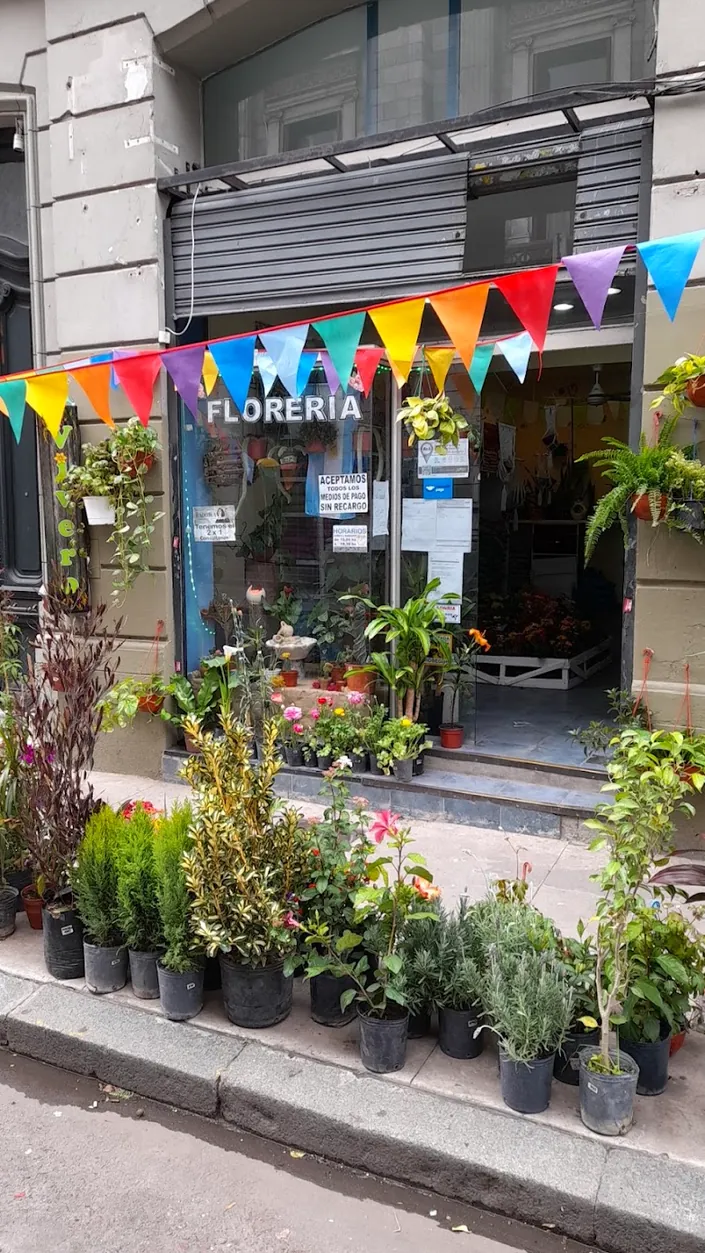 Viverito San Cristobal