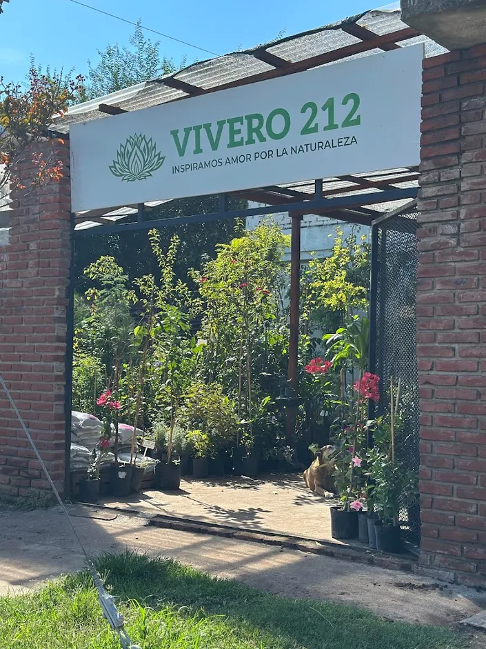 vivero 212