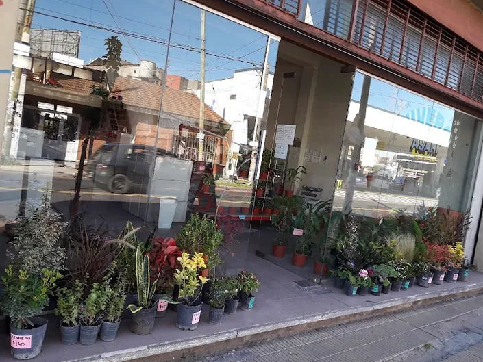 Vivero Asahi