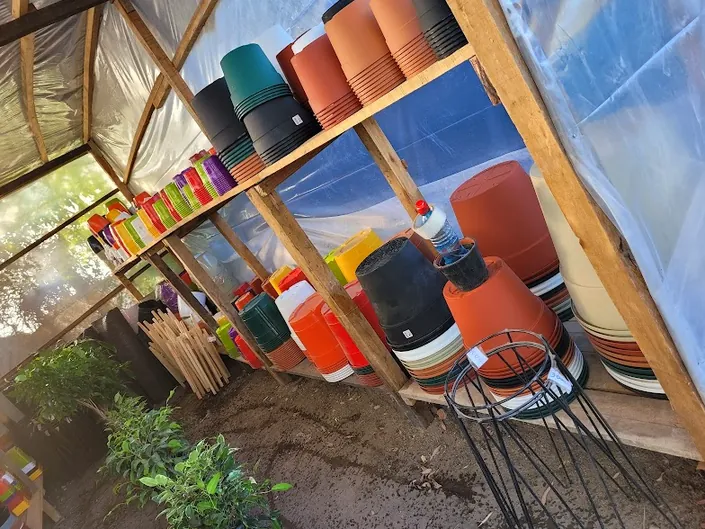 Vivero Autoservicio la Isla del Sanjuanino