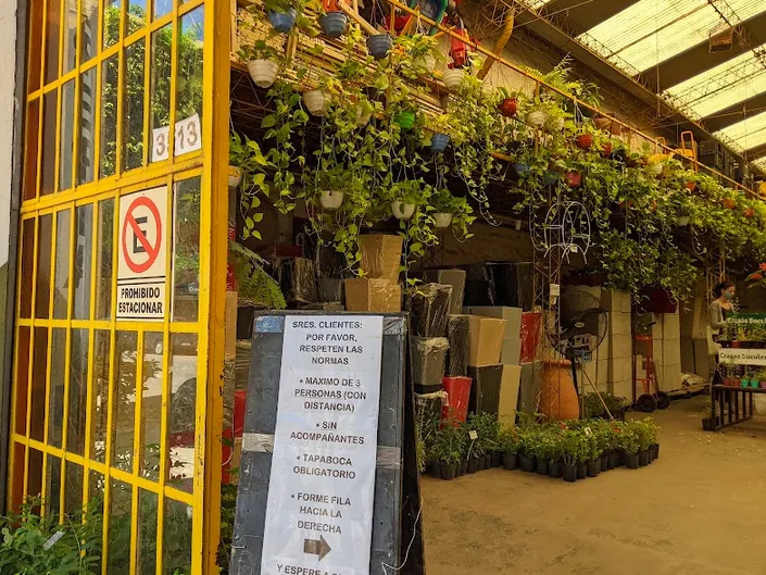 Vivero Boedo Garden